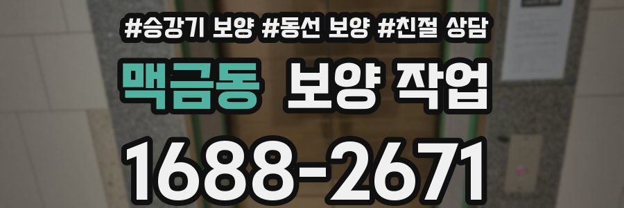 맥금동 보양 작업