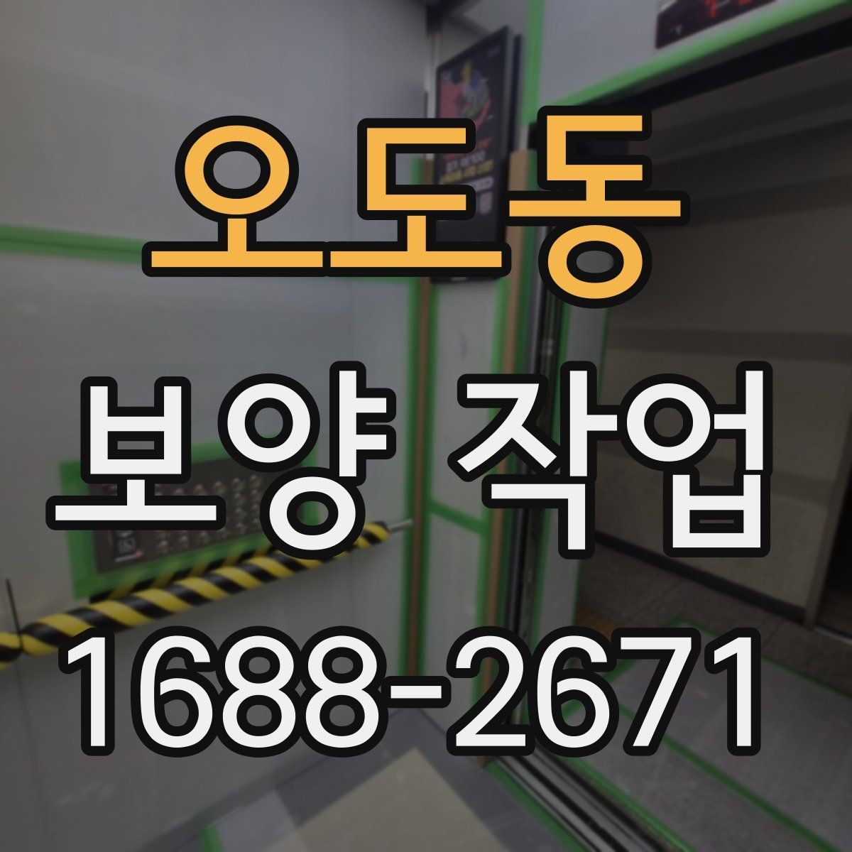 오도동 보양 작업 과정에서 생기는 변수와 대처