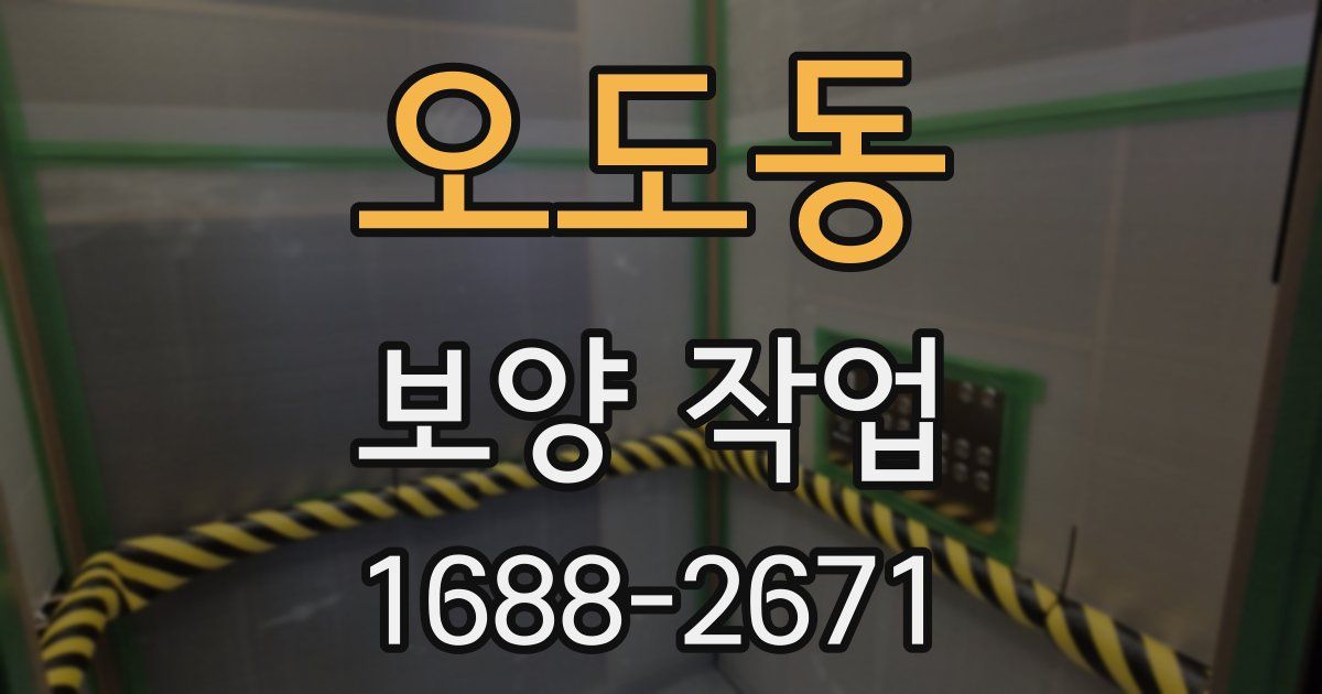 오도동 보양 작업