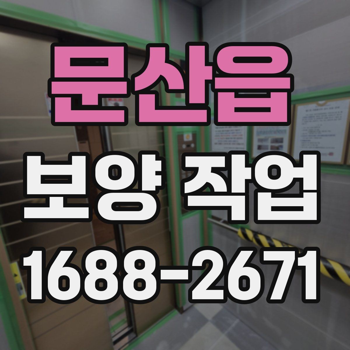 문산읍 보양 작업 후 손상 방지를 위한 관리