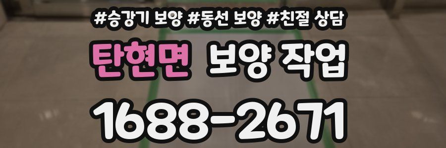 탄현면 보양 작업