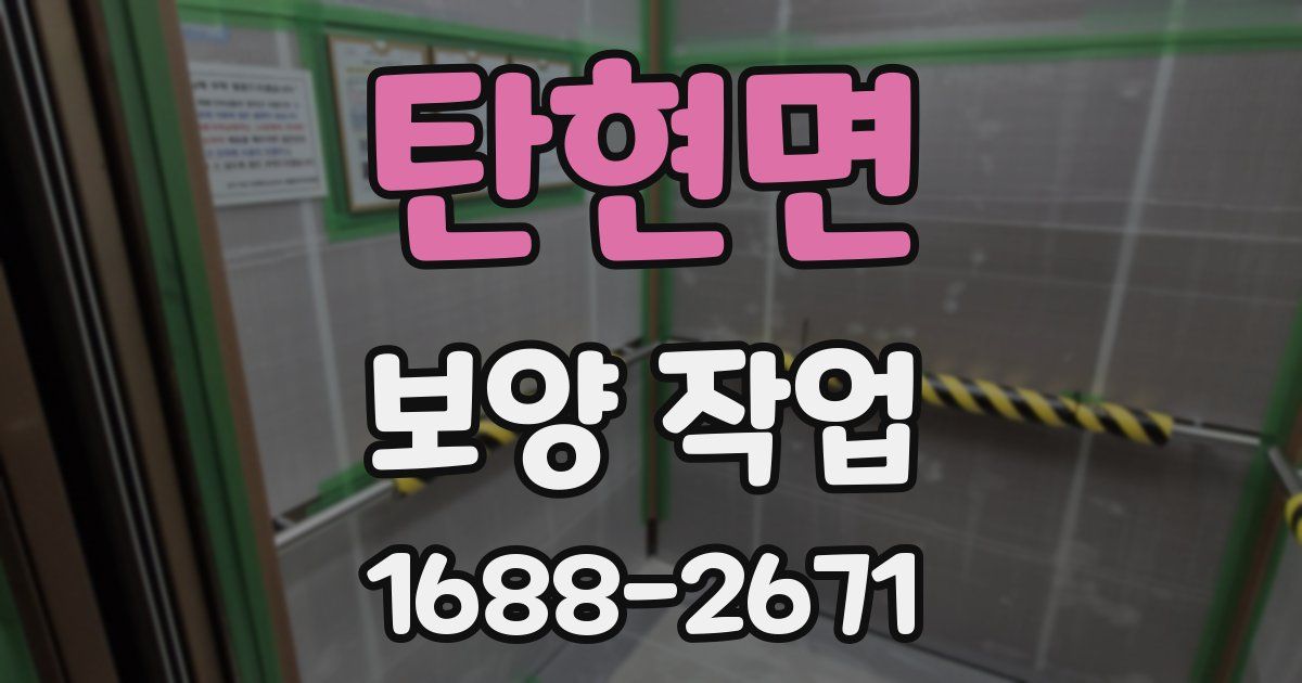 탄현면 보양 작업