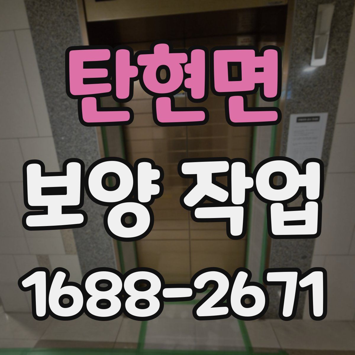 탄현면 보양 작업