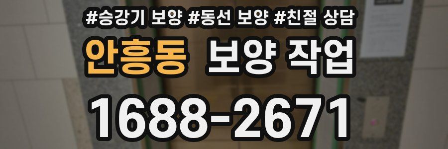 안흥동 보양 작업