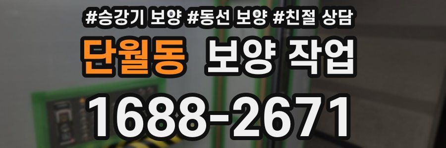 단월동 보양 작업