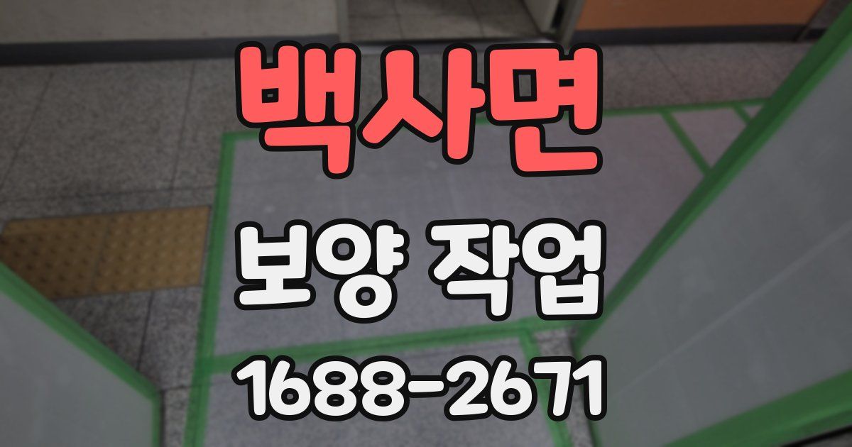백사면 보양 작업