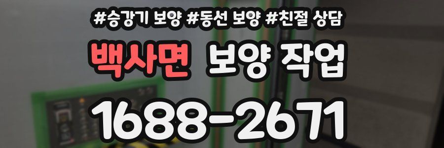 백사면 보양 작업