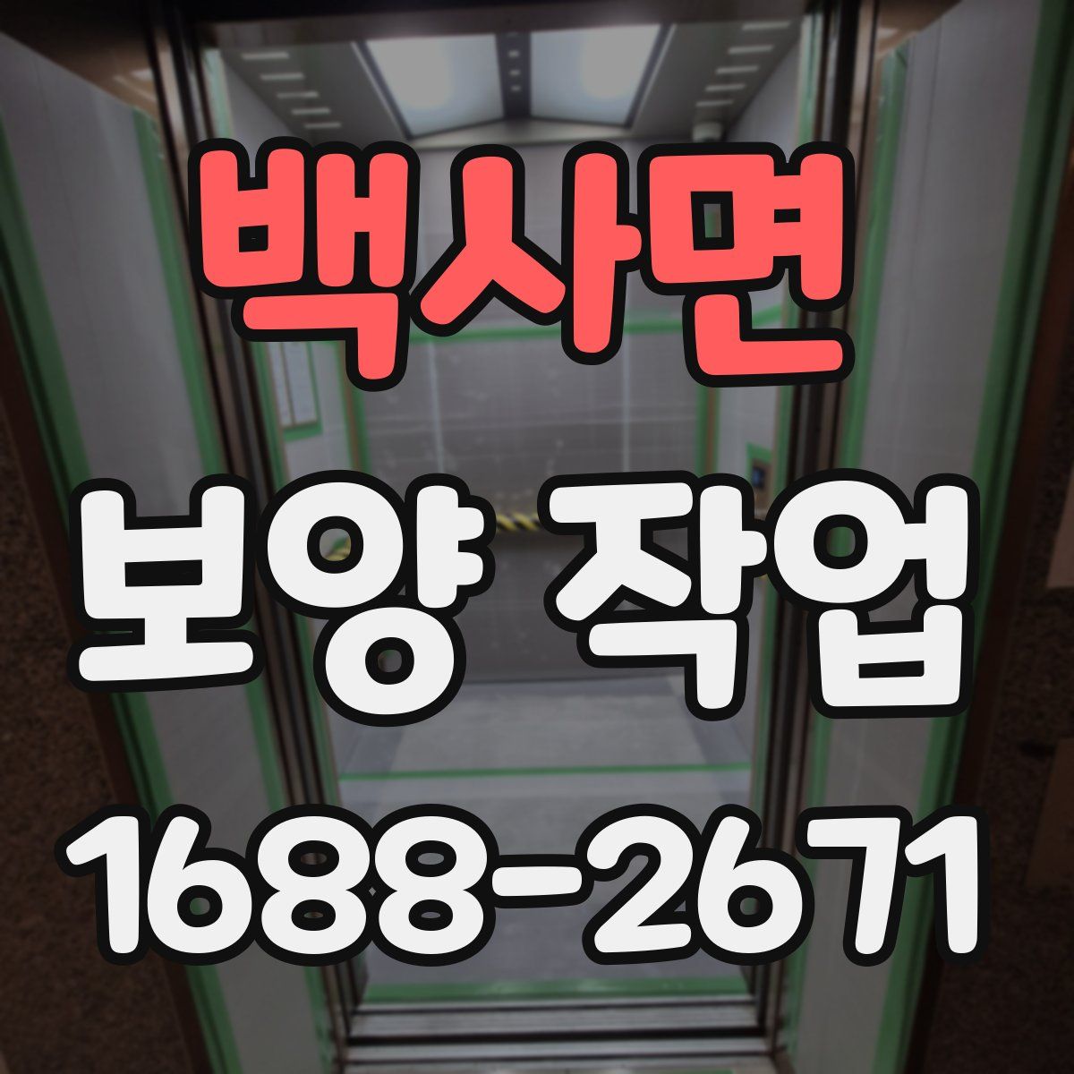 백사면 보양 작업