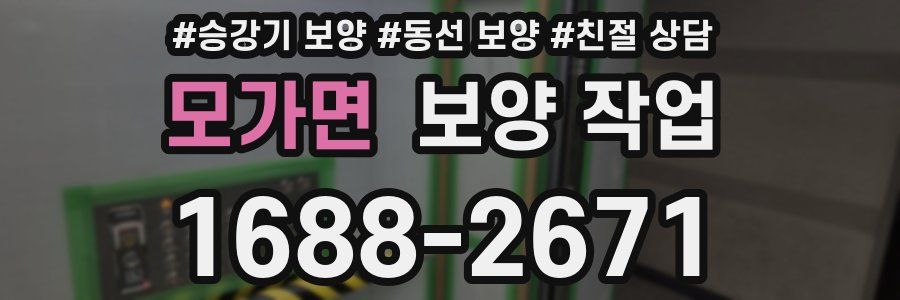 모가면 보양 작업