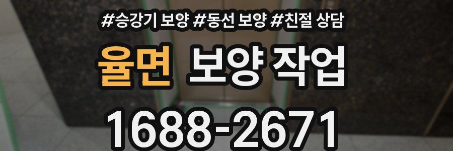 율면 보양 작업