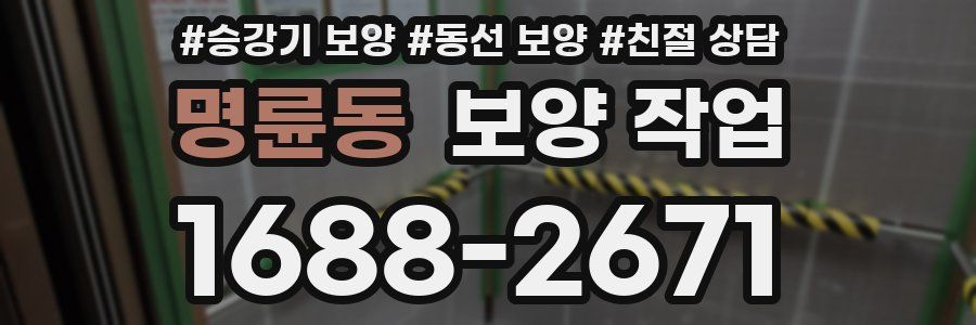 명륜동 보양 작업