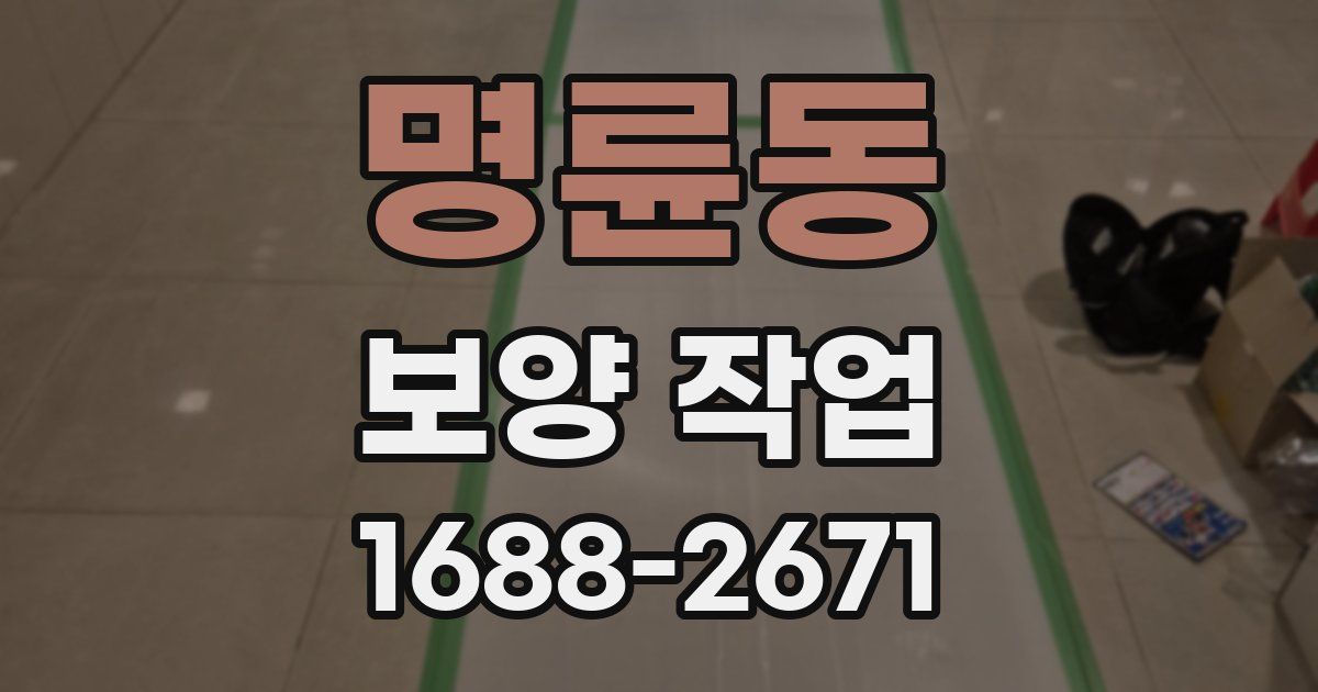 명륜동 보양 작업
