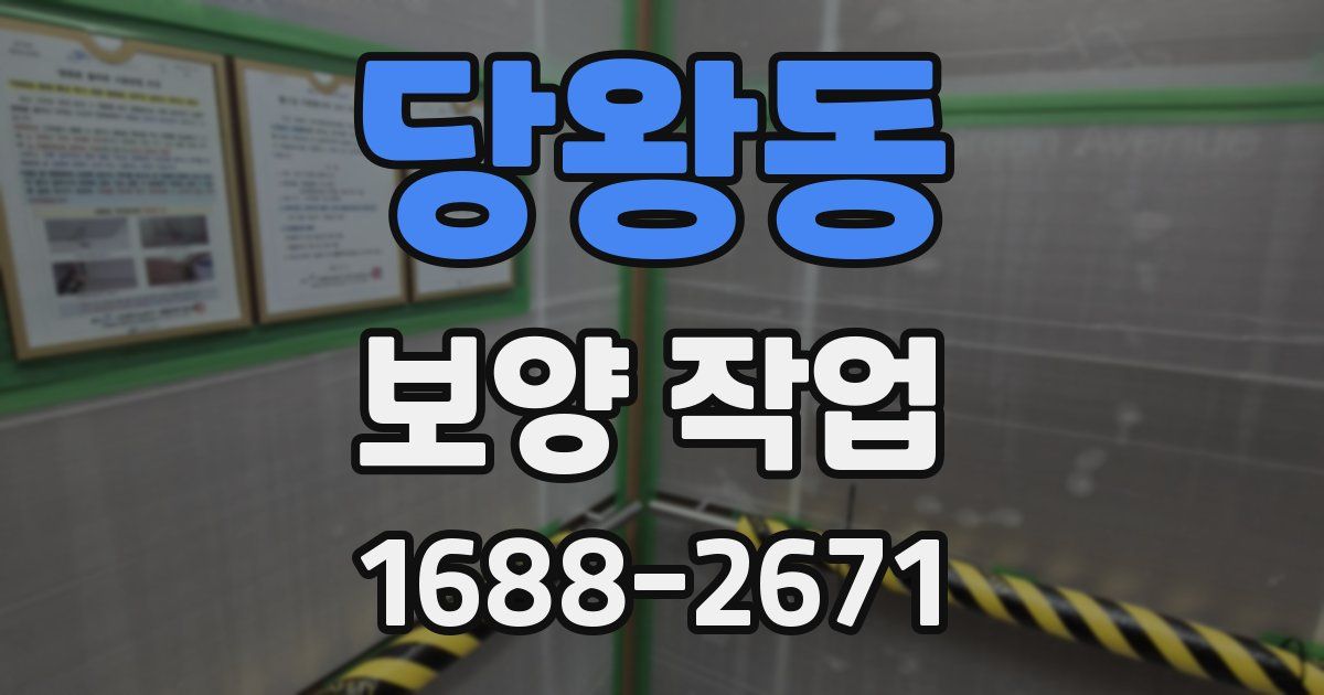 당왕동 보양 작업