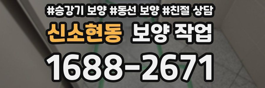 신소현동 보양 작업