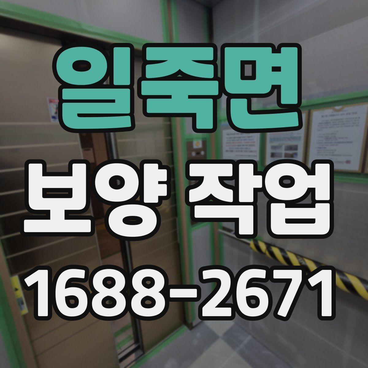 일죽면 보양 작업 전후 비교로 보는 변화