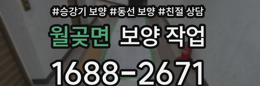 월곶면 보양 작업