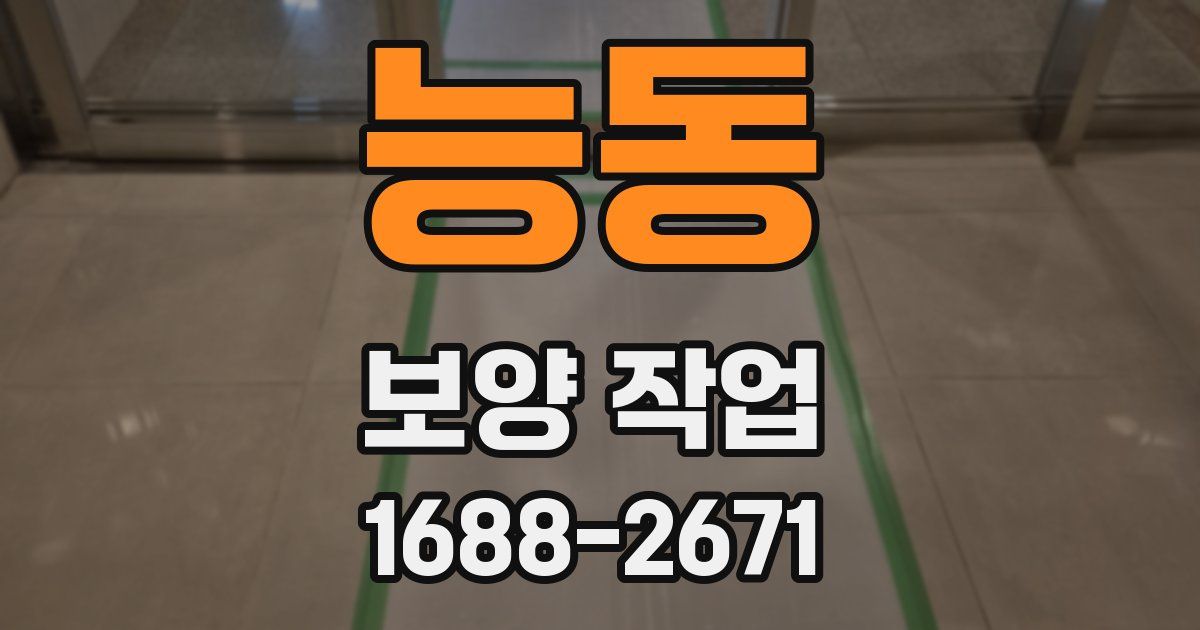 능동 보양 작업
