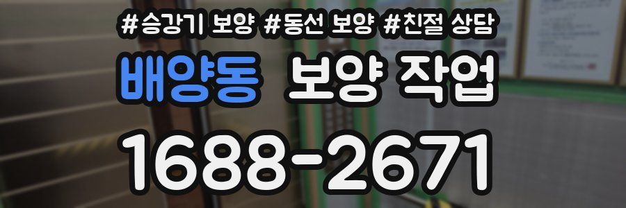 배양동 보양 작업