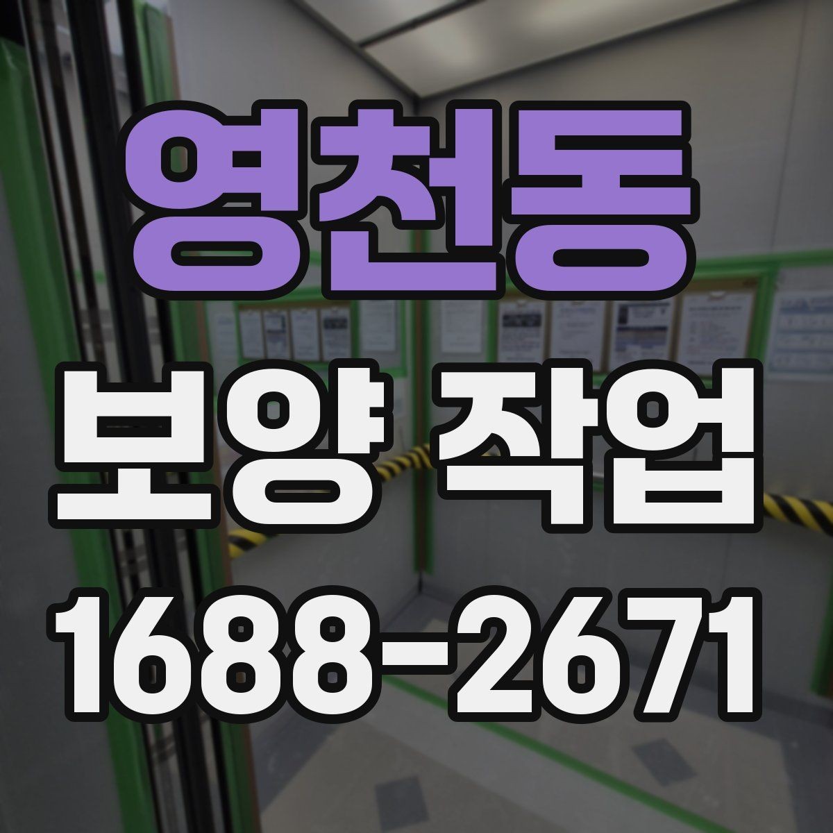 영천동 보양 작업 일정과 비용을 함께 보는 기준