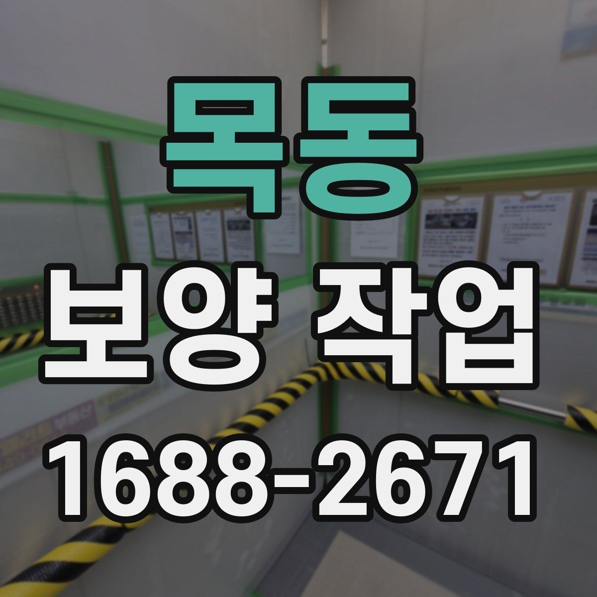 목동 보양 작업 후 발생할 수 있는 문제와 대처