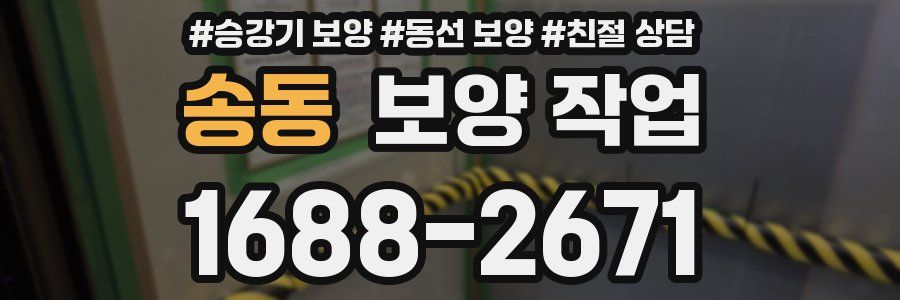 송동 보양 작업