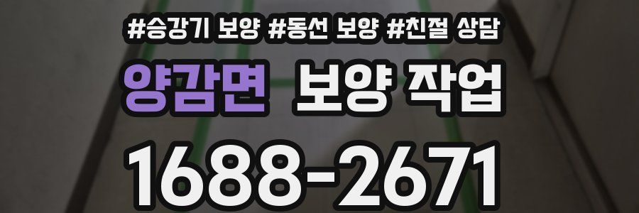 양감면 보양 작업