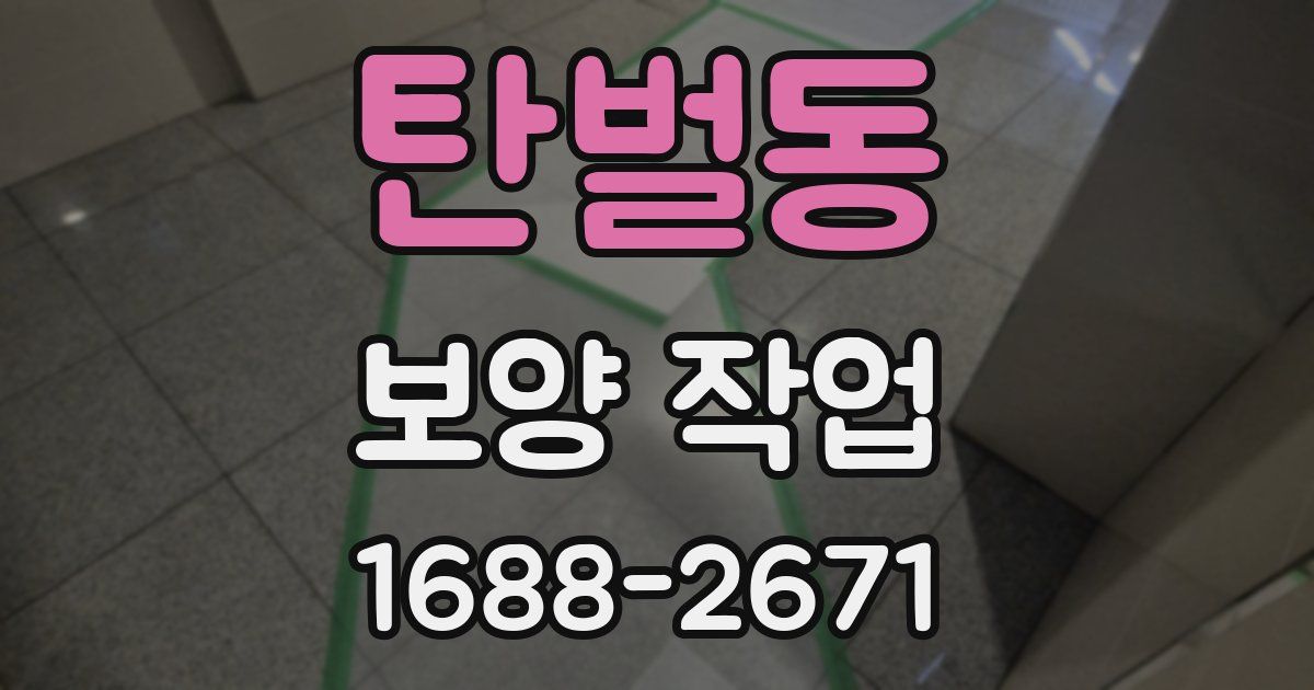 탄벌동 보양 작업