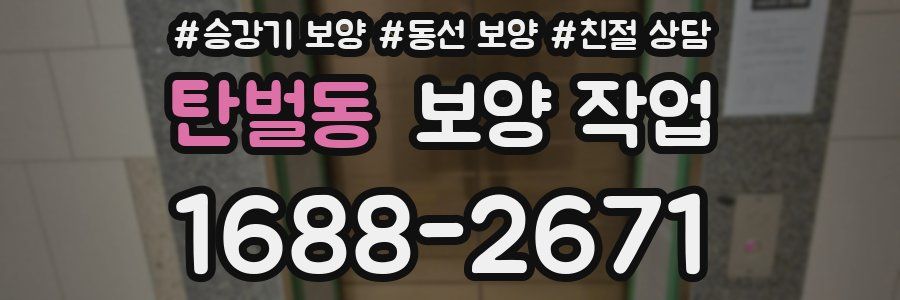 탄벌동 보양 작업