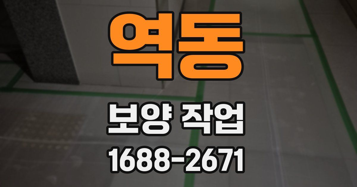 역동 보양 작업