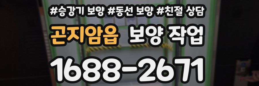 곤지암읍 보양 작업