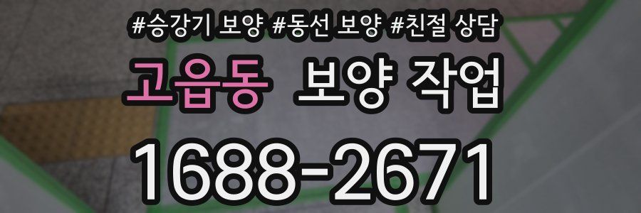 고읍동 보양 작업