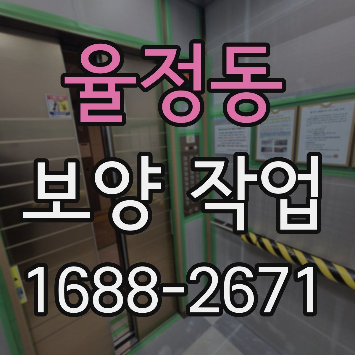 율정동 보양 작업 견적 차이가 나는 이유