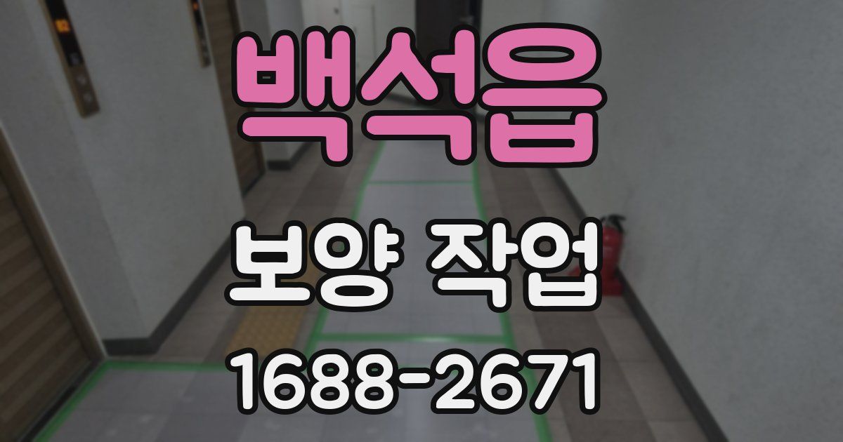 백석읍 보양 작업