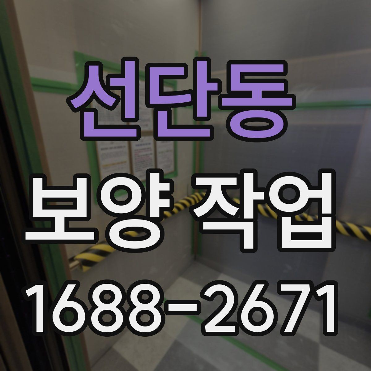 선단동 보양 작업 선택 기준과 비교 포인트