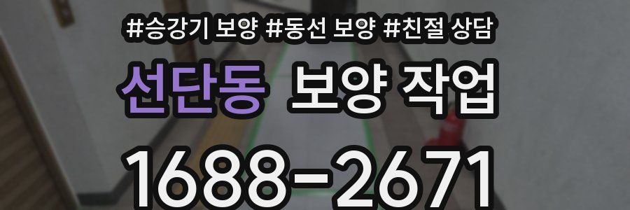 선단동 보양 작업