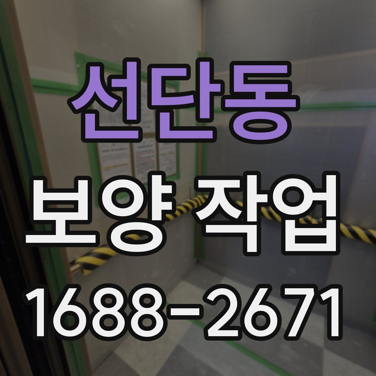 선단동 보양 작업