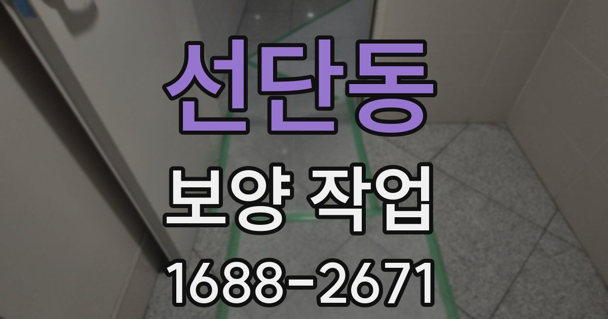 선단동 보양 작업