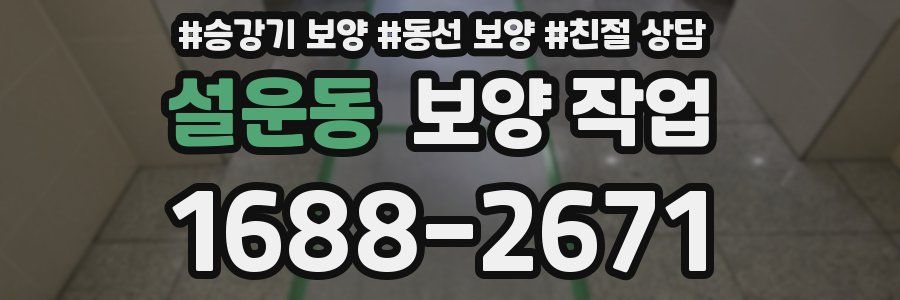 설운동 보양 작업