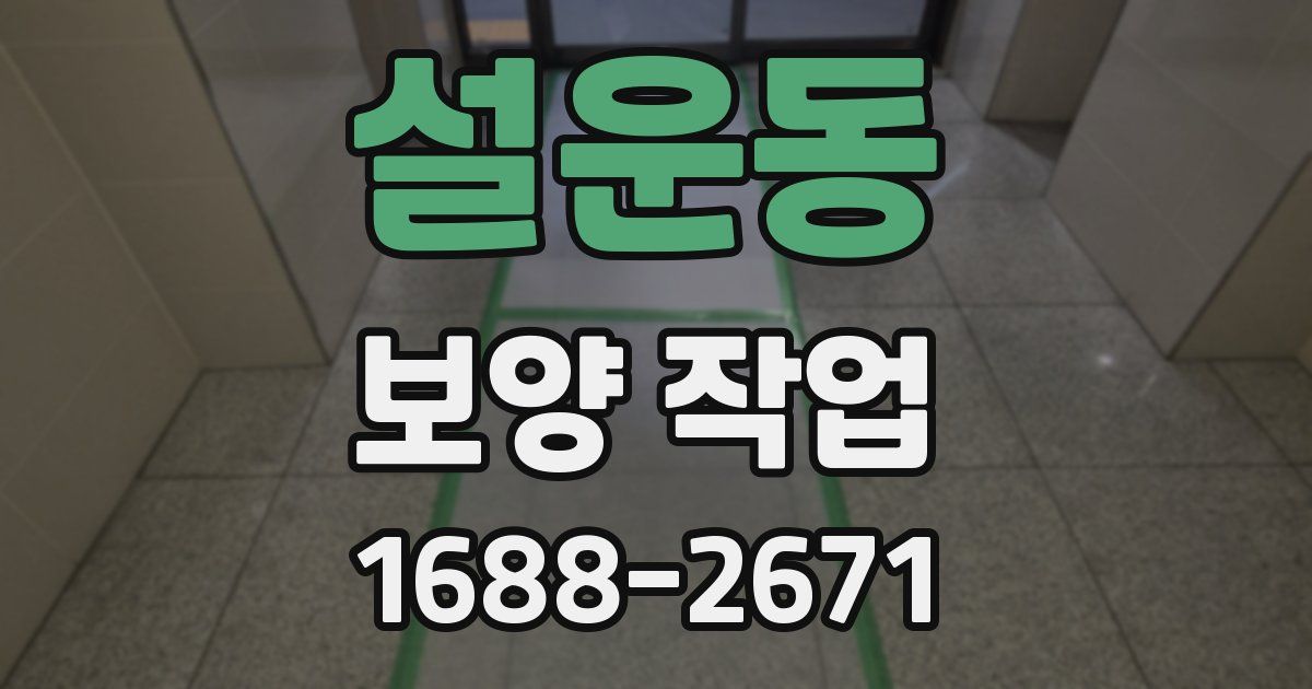설운동 보양 작업
