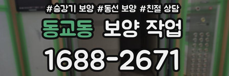 동교동 보양 작업