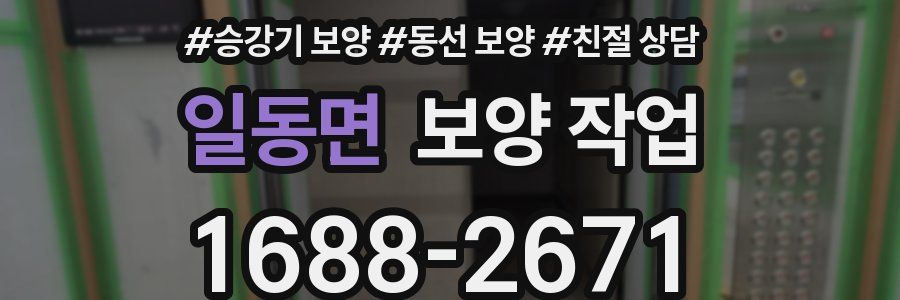 일동면 보양 작업