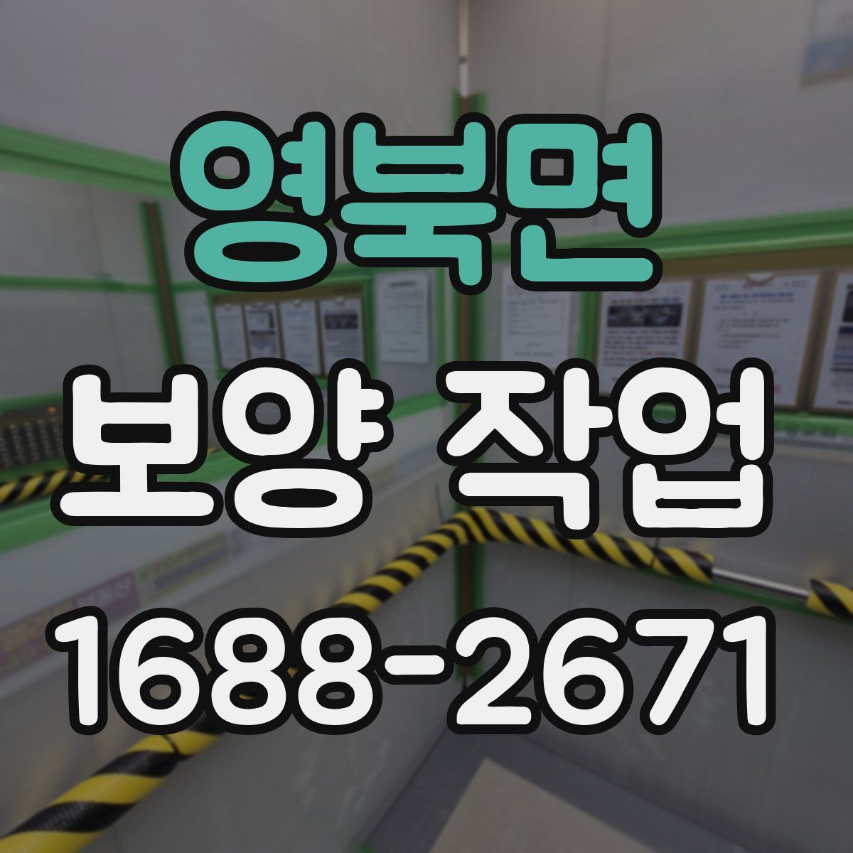 영북면 보양 작업