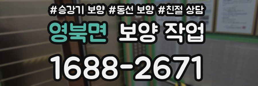 영북면 보양 작업