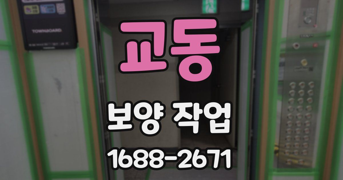 교동 보양 작업