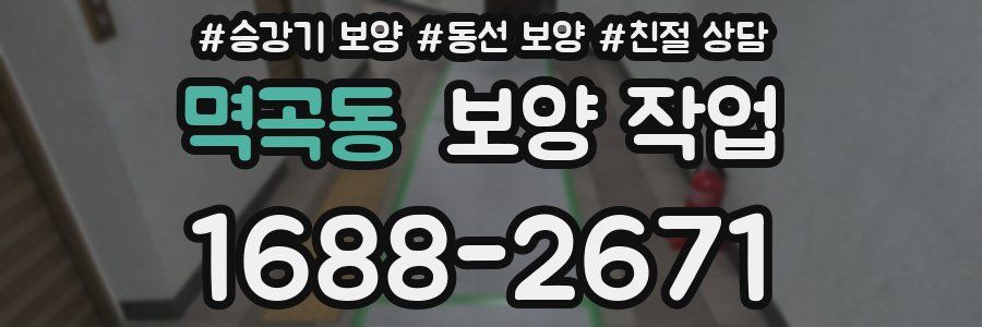 멱곡동 보양 작업