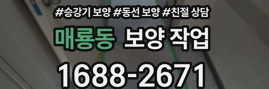 매룡동 보양 작업