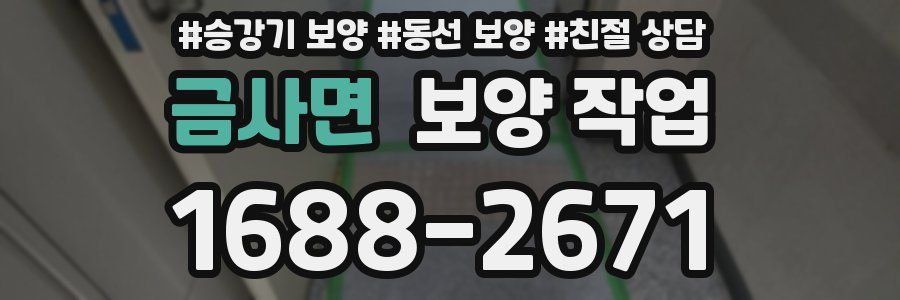 금사면 보양 작업