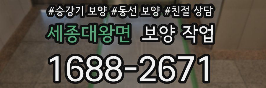 세종대왕면 보양 작업