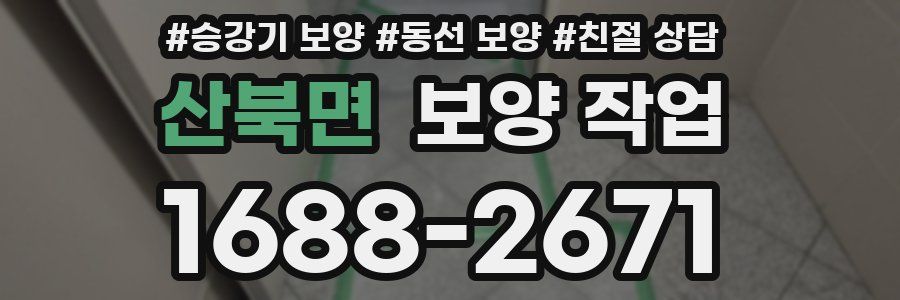산북면 보양 작업
