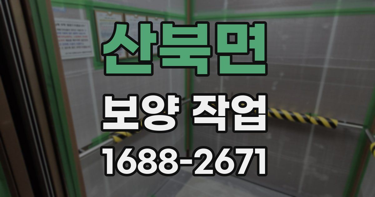 산북면 보양 작업